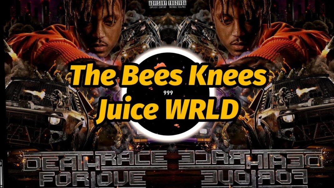 Juice WRLD - The Bees Knees | Music Mp3 Download